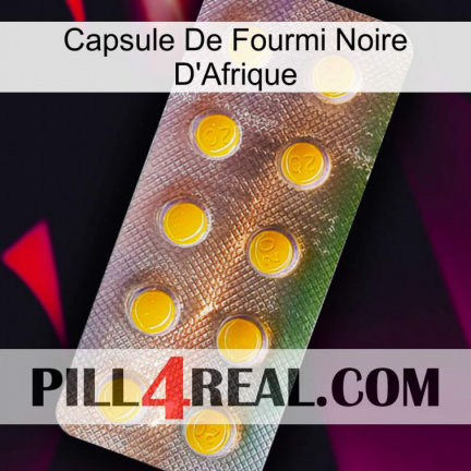 Africa Black Ant Capsule new11